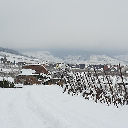 Gite Des Seigneurs Ammerschwihr Kültér fotó